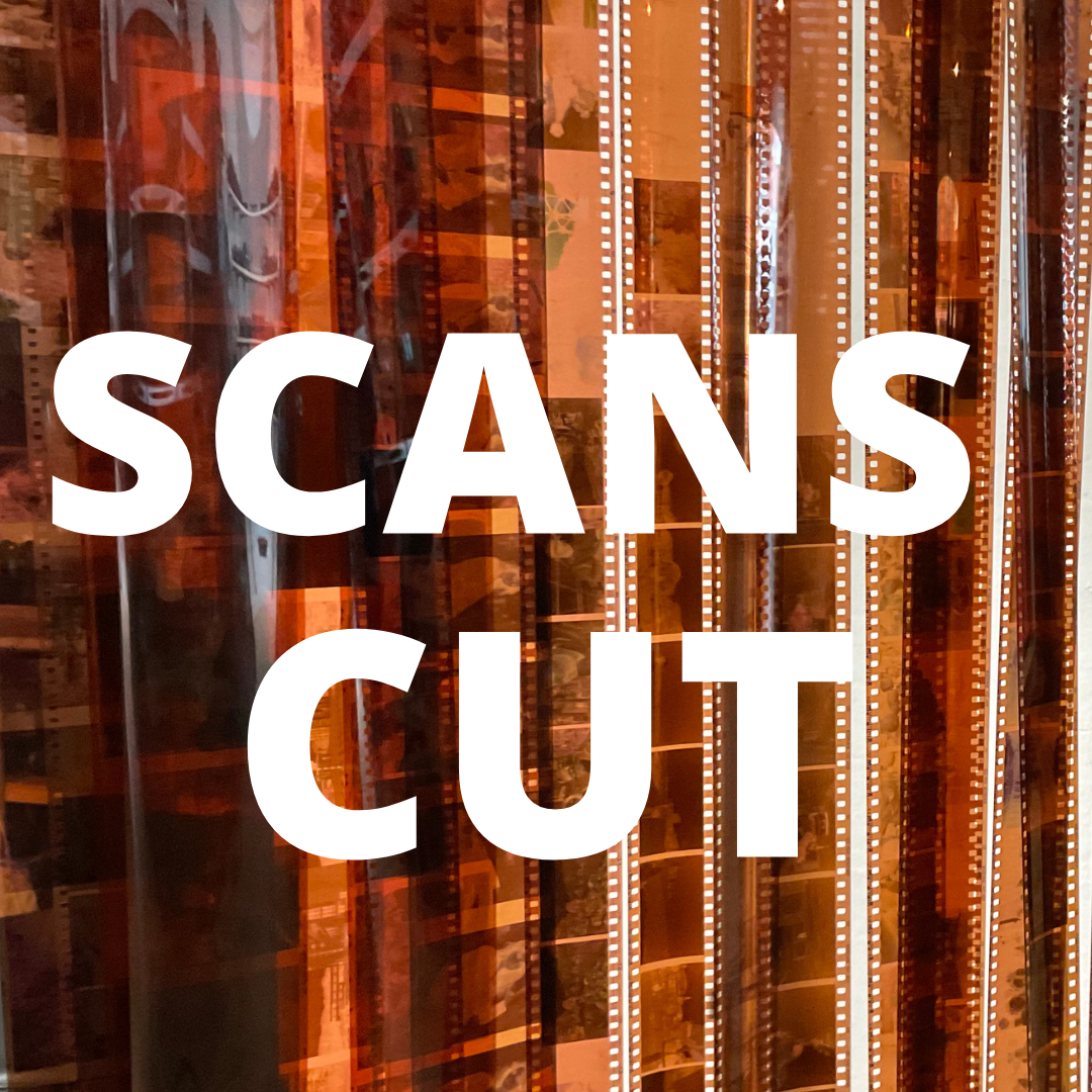 Developing and Scanning Services