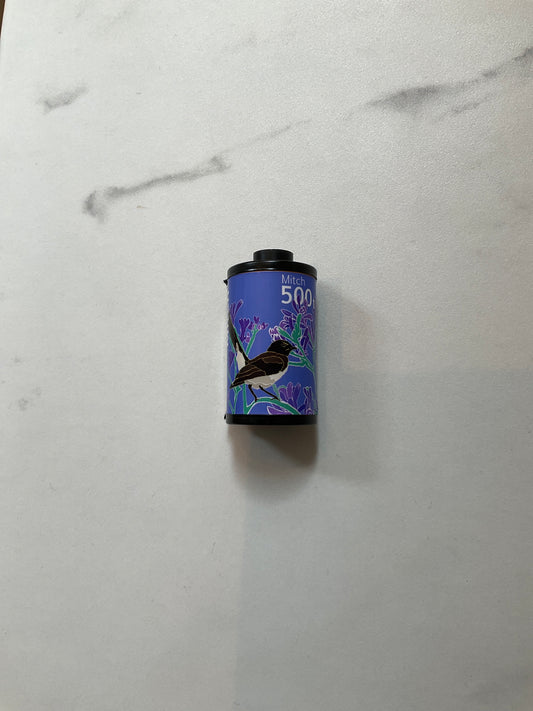 Mitch 500t C41 35mm film