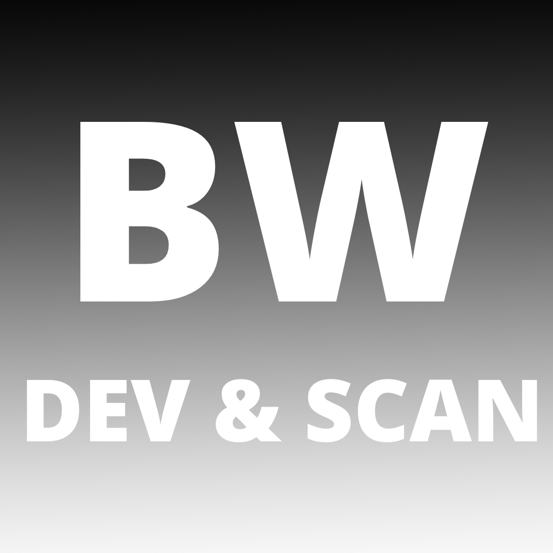 Developing and Scanning Services