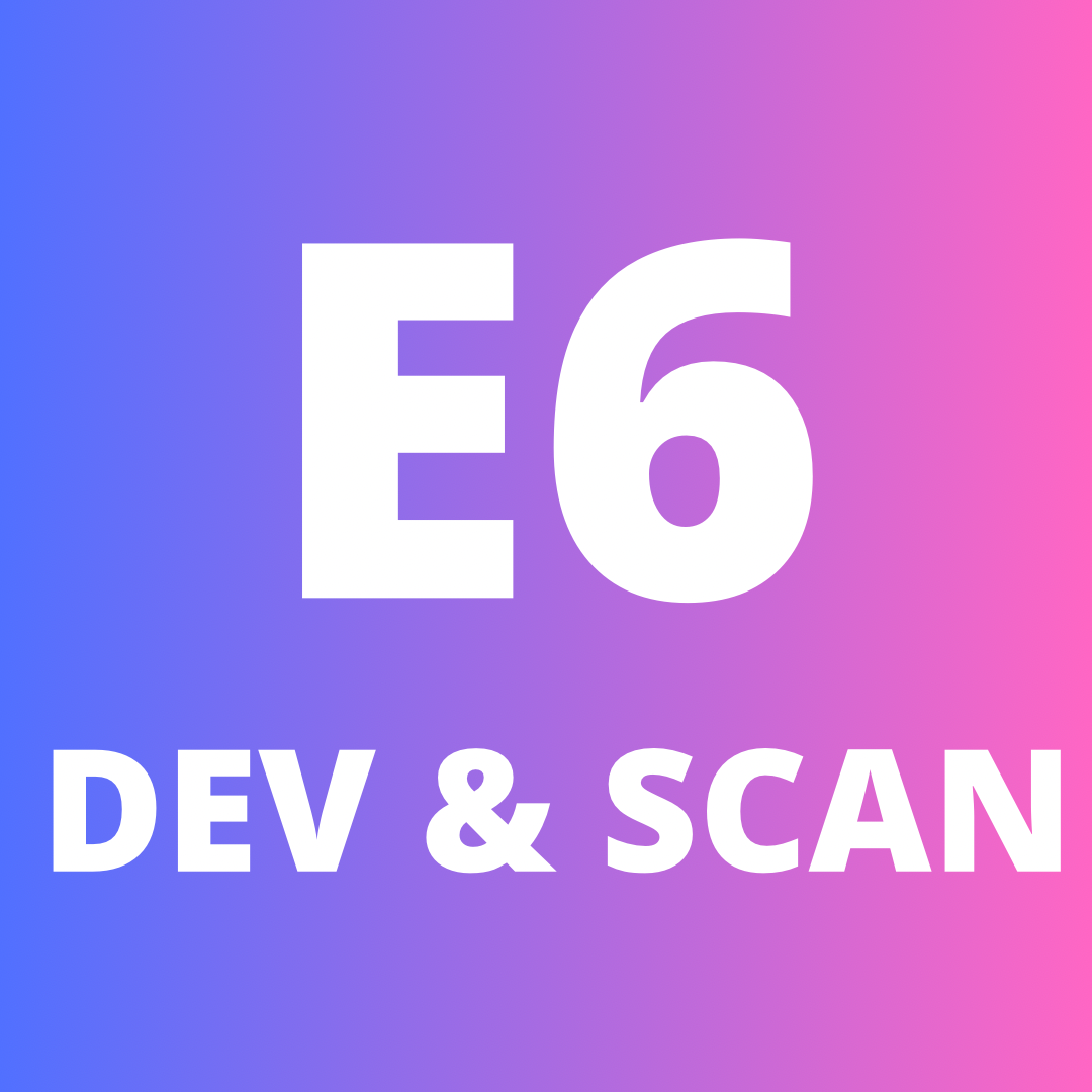 Developing and Scanning Services
